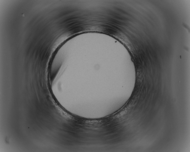 X0000092051135200710101011