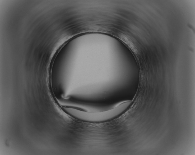 X0000092051136200710101011