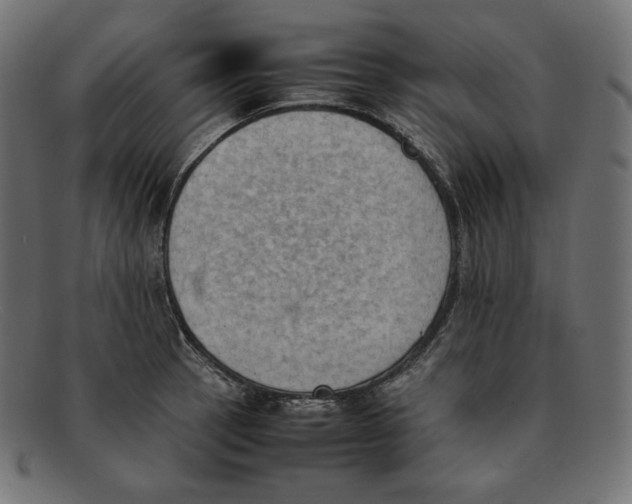 X0000092051137200710101011