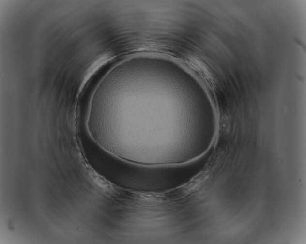 X0000092051138200710101011