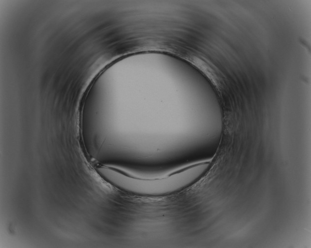 X0000092051140200710101011