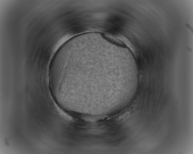 X0000092051143200710101011