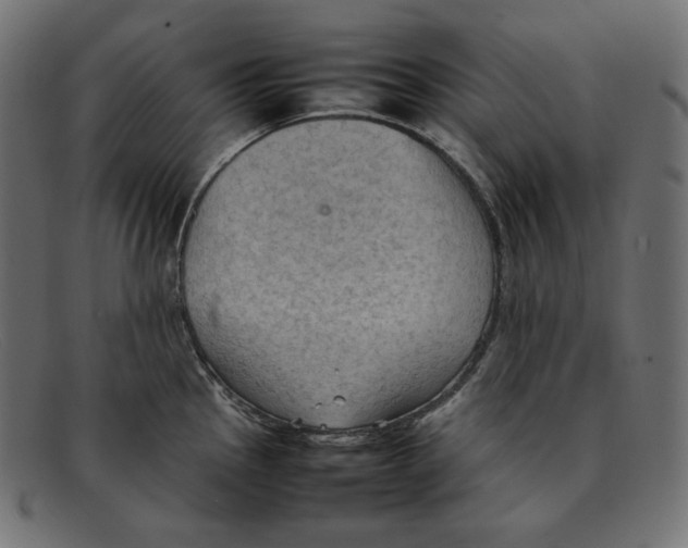 X0000092051145200710101011