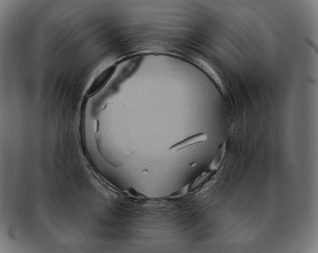 X0000092051146200710101011