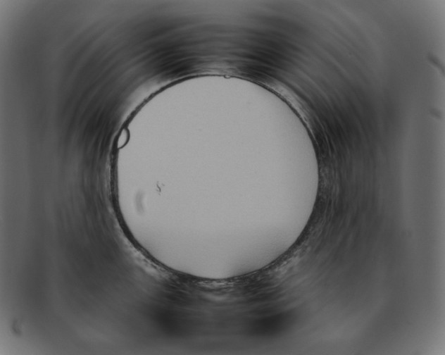 X0000092051147200710101011