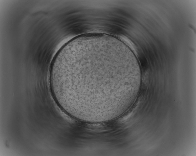 X0000092051149200710101011