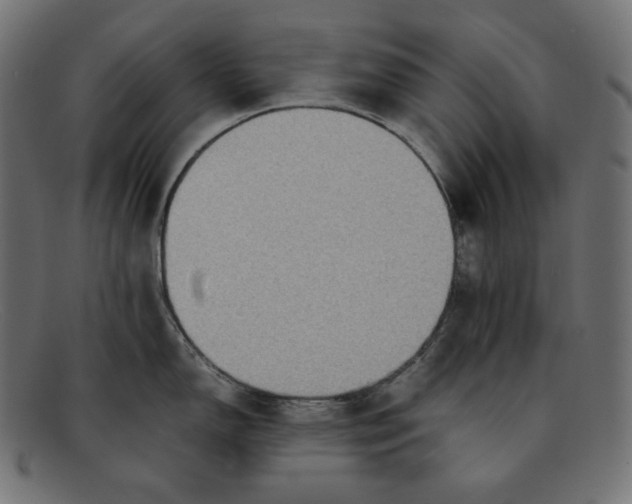 X0000092051150200710101011