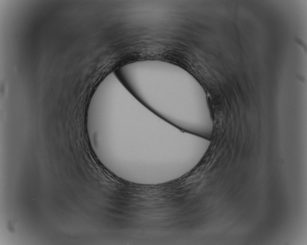 X0000092051153200710101010