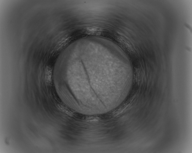 X0000092051154200710101010