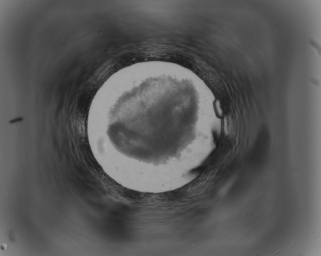 X0000092051155200710101010