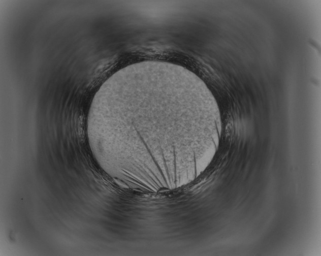 X0000092051156200710101010