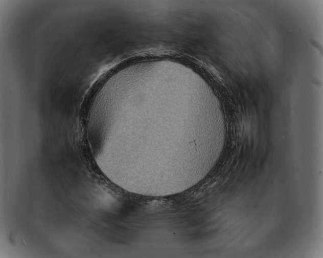 X0000092051160200710101010