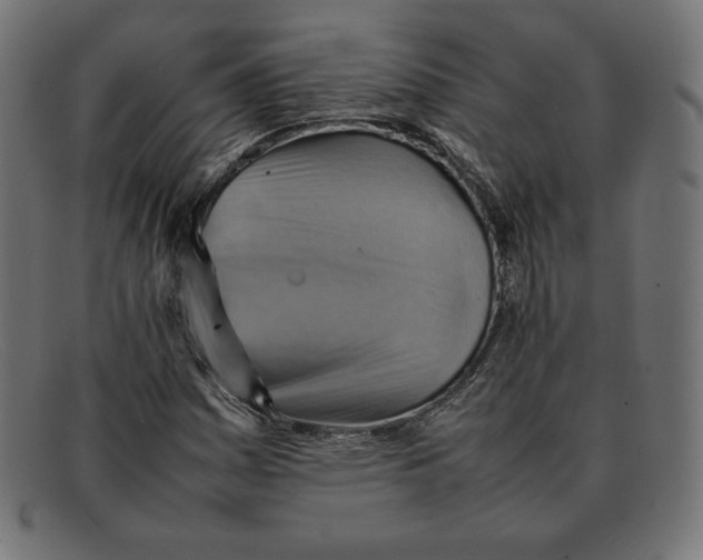 X0000092051161200710101010