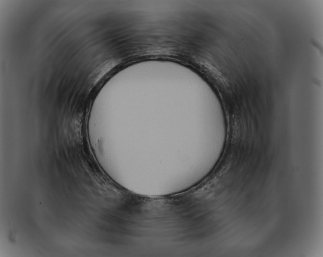 X0000092051162200710101010