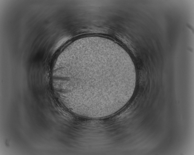 X0000092051163200710101010