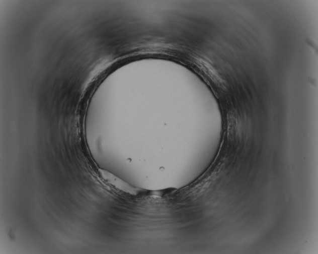 X0000092051164200710101010