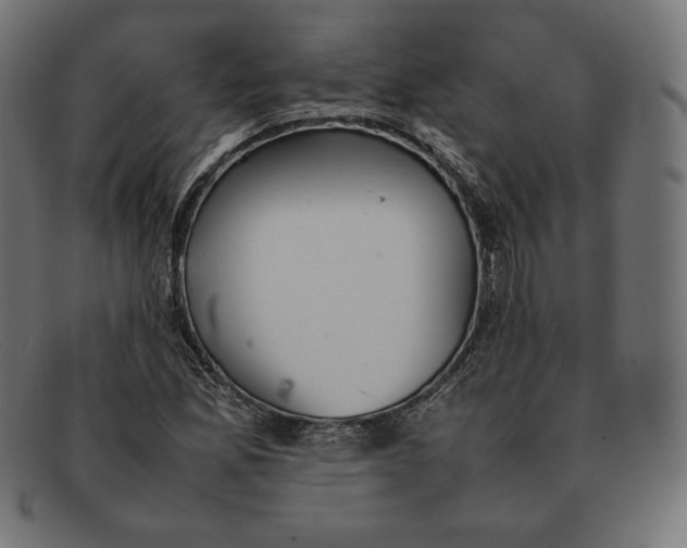 X0000092051165200710101010