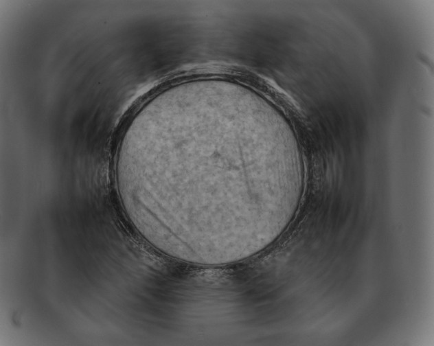 X0000092051166200710101010