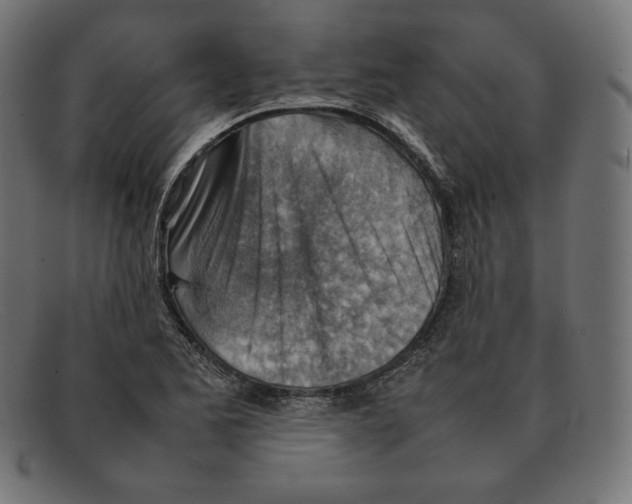 X0000092051173200710101010