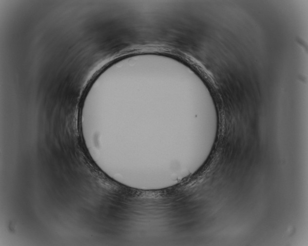 X0000092051174200710101010