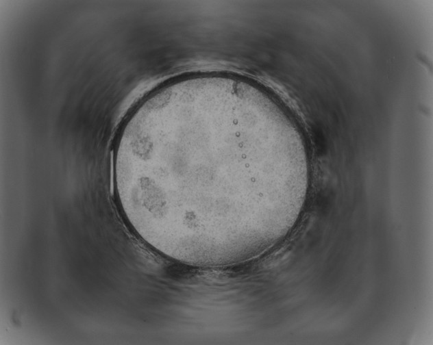 X0000092051175200710101010