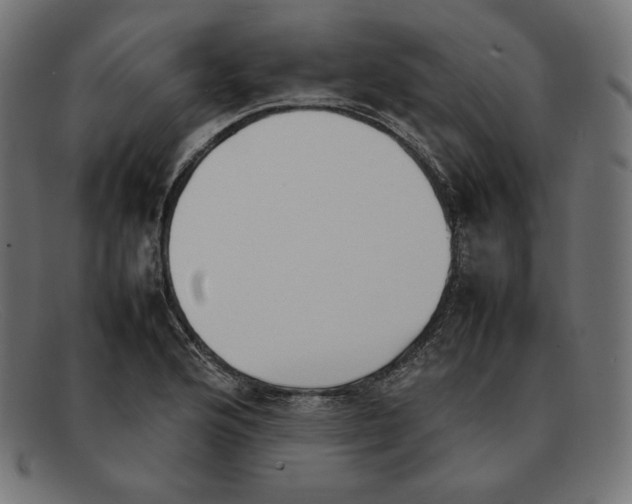 X0000092051176200710101010