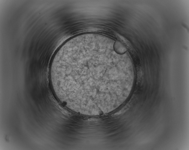 X0000092051178200710101010