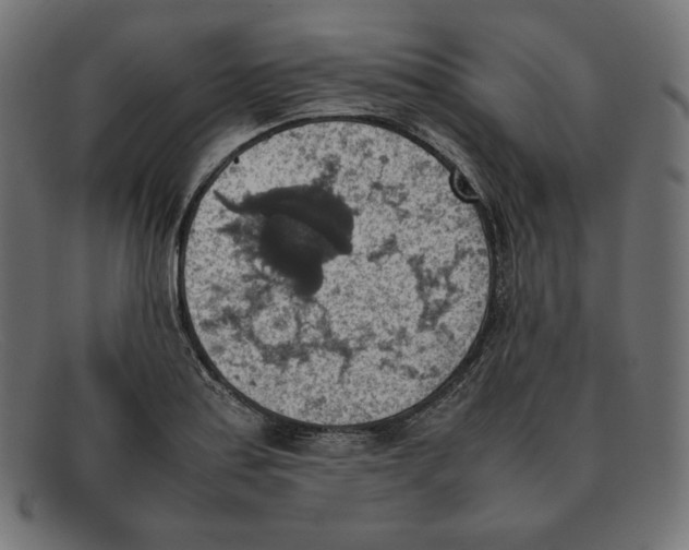 X0000092051179200710101010