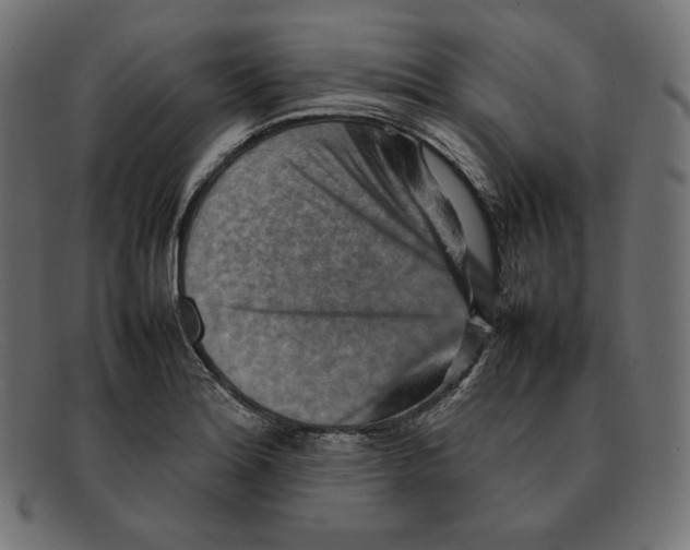 X0000092051180200710101010