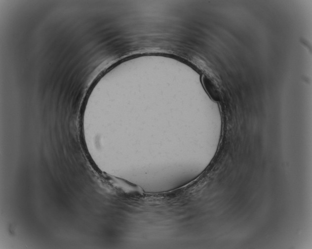 X0000092051181200710101010