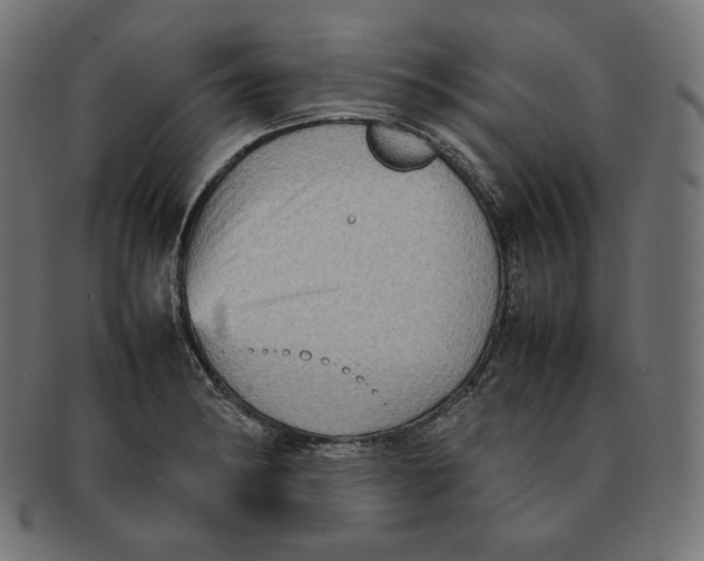 X0000092051182200710101010