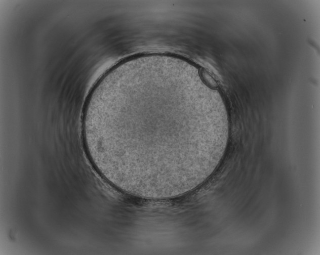 X0000092051183200710101010