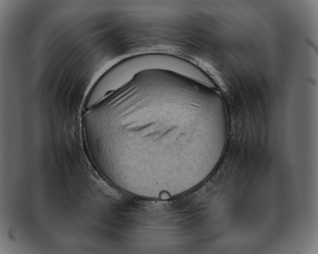 X0000092051184200710101010