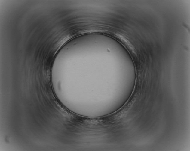 X0000092051185200710101010