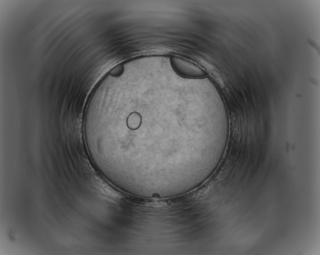 X0000092051186200710101010