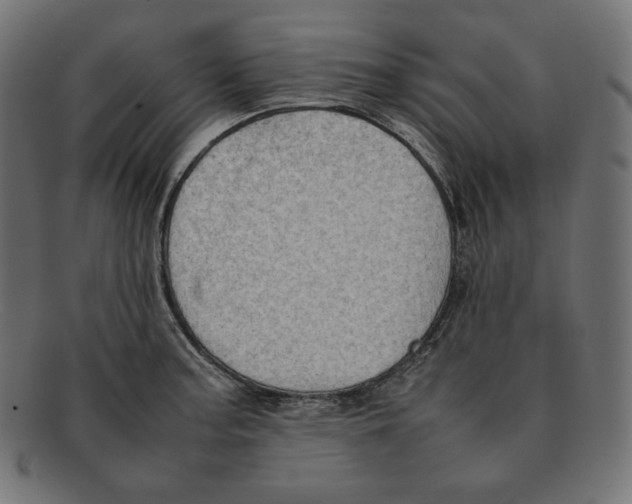 X0000092051187200710101010