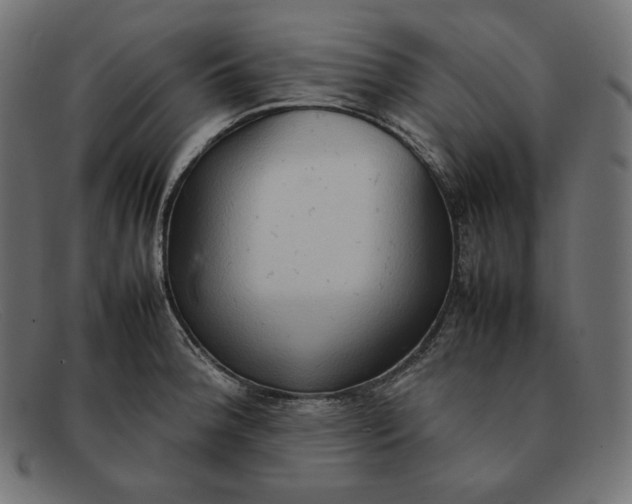 X0000092051188200710101010