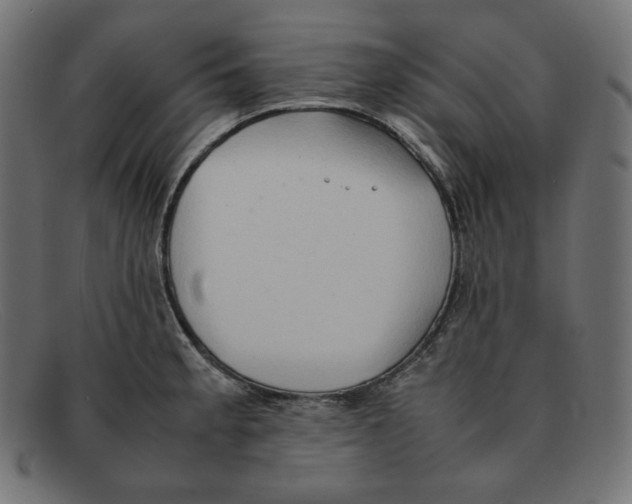 X0000092051189200710101010