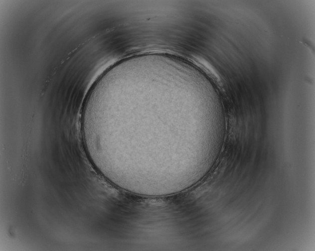 X0000092051190200710101010