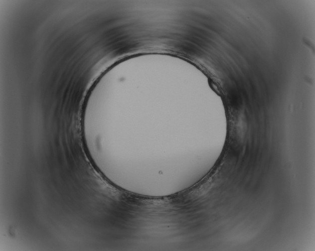 X0000092051192200710101010