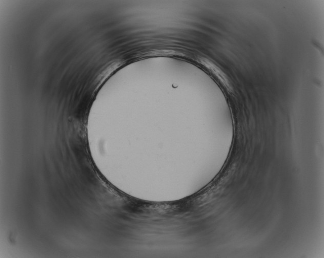 X0000092051193200710101010