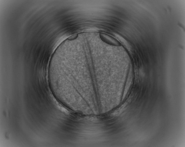 X0000092051194200710101010