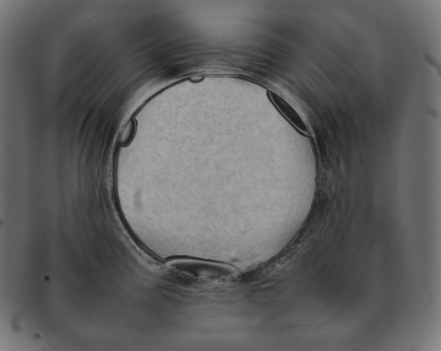 X0000092051195200710101010