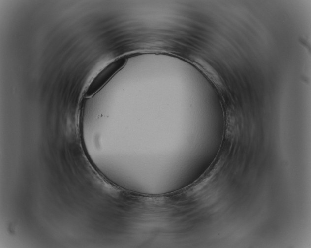 X0000092051196200710101010