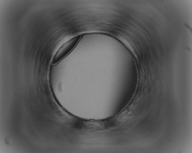 X0000092051197200710101010