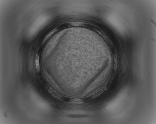 X0000092051198200710101010