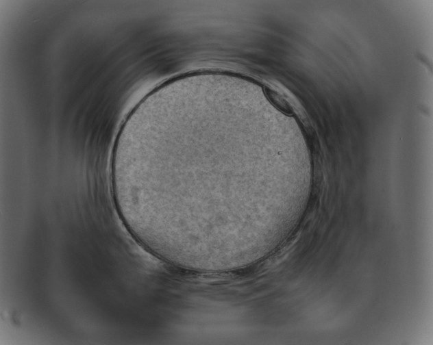 X0000092051199200710101010