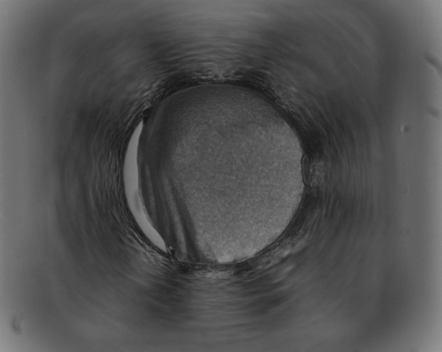 X0000092051202200710101009