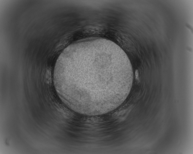 X0000092051203200710101009