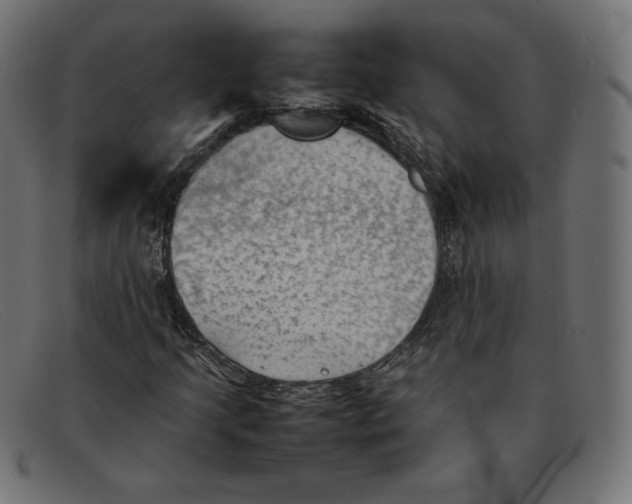 X0000092051205200710101009